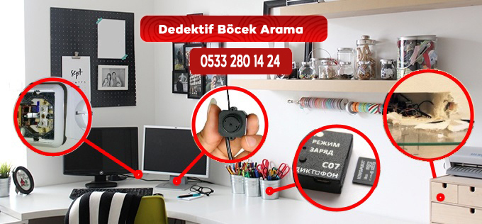 Dedektif Böcek Arama